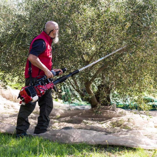 Δονητικό Βενζίνης BRUMIRAK με κινητήρα Mitsubishi 2.8Hp Μήκους 2.7m (GEP903128001)