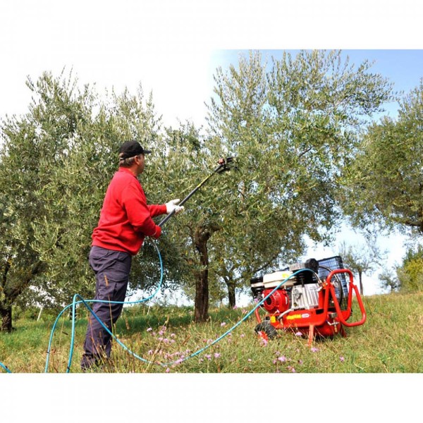 Κεφαλή Ελαιοραβδιστικού Αέρος MGMAGNESIUM LISAM (9072)