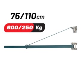 Τηλεσκοπικός Βραχίονας Παλάγκου 600/250kg BPP2500 Bormann Pro (007838)
